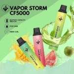 Vapor Storm風暴5000口拋棄式電子煙｜炫彩發光 · 一次性免充電